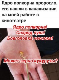 15 фотографий, которые доказывают, что интересные вещи можно встретить на каждом шагу