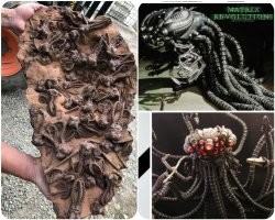 Редкие штуки, которые вы не увидели бы никогда, если бы не эти фотографии