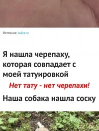 15 фотографий, которые доказывают, что интересные вещи можно встретить на каждом шагу