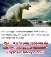 20 любопытных фактов об Антарктиде