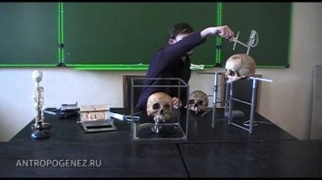 Во у Дробышевского и современный аппарат имеется