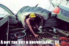 12 фактов об акулах, которые откроют для вас что-то новое