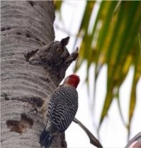 Смешные комментарии из соц.сетей