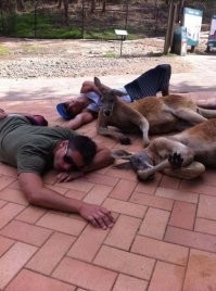 Большой Калейдоскоп фото, приколов и картинок