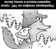 Доброе Всем утро четверга с Калейдоскопом позитива!