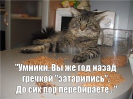 Скрины из соцсетей