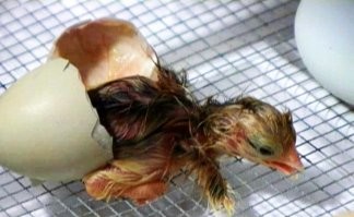 На самом деле.