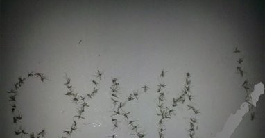 Калейдоскоп пятничного позитивного настроения