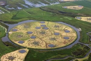 LOFAR – нидерландский "скальпель" по изучению космоса