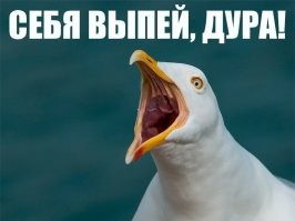 Калейдоскоп пятничного позитивного настроения