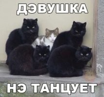 Скрины из соцсетей