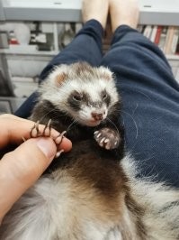 Наша милаха)