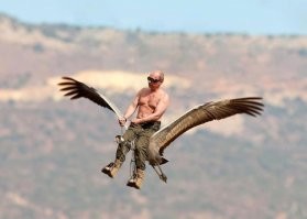 На самом деле,-это был не медведь !