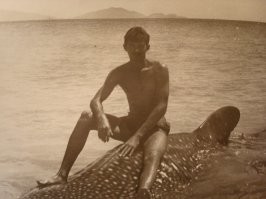 Китовая акула интересные факты, обитатели глубин, самая большая рыба