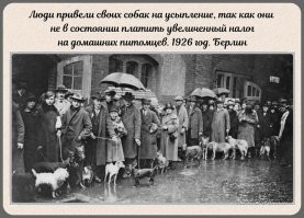 Очень надеюсь, что это фото фейк. Какие то у людей слишком спокойные лица. Да и собаки особого волнения не испытывают ... Не знаю, я бы сам траву жрал бы, но свою собаку,  которая уже 12 лет мой лучший друг, сохранил бы...