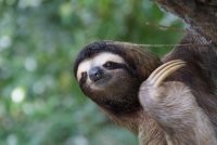 Зацени ноготочки: