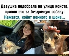 Вечерний марафон юмора