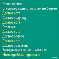 Кошачьи гифки