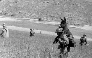 Старослужащий, поди, ослика на спине прёт...