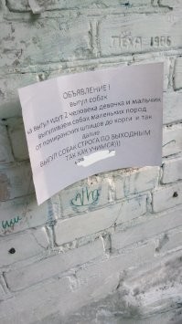 Аффтор, ты в глазки долбишься? Ты где тут помирающих шпицев увидел?