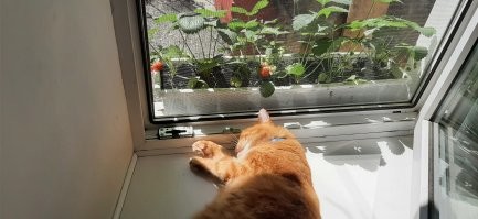 Мой трудоголик