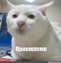 Скрины из соцсетей