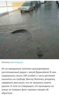 Эта фотка НЕ из Крыма!
Фото было сделано в 2018 году в Мексике!
.