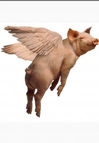 Victoria’s Secret отказалась от своих «ангелов» в пользу неидеальных женщин