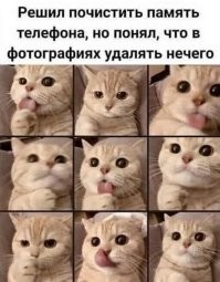 Такая же фигня.... Правда у меня фотки котенка, как только привез его....