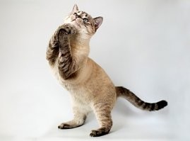 упаковка сохранилась?
замените