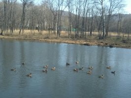 Это мои фотографии