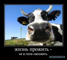 В среднем мужик прав. Все мы чего то заканчивали, приходили дубы дубами, и учились у старших как и что надо делать на самом деле. Поверь это везде так и образование обычно оторвано от реального производства. Наука оторвана от реального положения вещей происходящих  во вселенной, порублена на направления обвешана постулатами (предположениями). История человечества придумана не так давно, пестрит хроно-косяками. 
Кто мы и как в этой грязи оказались. Нам не рассказывают, так как человечество обычный домашний скот  предназначенный для дойки эмоций. Нам рассказывают сказки буд то бы какие то аппараты вылетали из нашей клетки и в будущем дескать переедем на Марс. ))) Но это лишь сказки ни один созданный человеком  робот не преодолеет  магнитное поле земли накопившее много тысяч рад. Пластмасс рассыпается. - Но нам же типо говорят, что кто там куда то... на Луну и т.п.!!! - Врут. Мы не космическая цивилизация, до тех пор пока срок заключения не закончится.