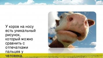 В среднем мужик прав. Все мы чего то заканчивали, приходили дубы дубами, и учились у старших как и что надо делать на самом деле. Поверь это везде так и образование обычно оторвано от реального производства. Наука оторвана от реального положения вещей происходящих  во вселенной, порублена на направления обвешана постулатами (предположениями). История человечества придумана не так давно, пестрит хроно-косяками. 
Кто мы и как в этой грязи оказались. Нам не рассказывают, так как человечество обычный домашний скот  предназначенный для дойки эмоций. Нам рассказывают сказки буд то бы какие то аппараты вылетали из нашей клетки и в будущем дескать переедем на Марс. ))) Но это лишь сказки ни один созданный человеком  робот не преодолеет  магнитное поле земли накопившее много тысяч рад. Пластмасс рассыпается. - Но нам же типо говорят, что кто там куда то... на Луну и т.п.!!! - Врут. Мы не космическая цивилизация, до тех пор пока срок заключения не закончится.