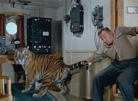 и это не монтаж