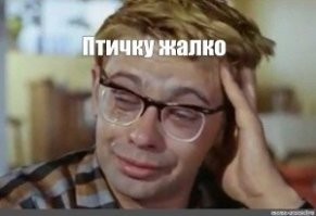 Шустрая акула атаковала и утащила под воду птицу 