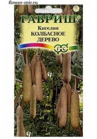 Пф-ф! 
Вот же ж молодёжь пошла, даже Гуглом уже не умеют пользоваться!