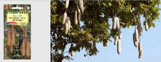 Пф-ф! 
Вот же ж молодёжь пошла, даже Гуглом уже не умеют пользоваться!