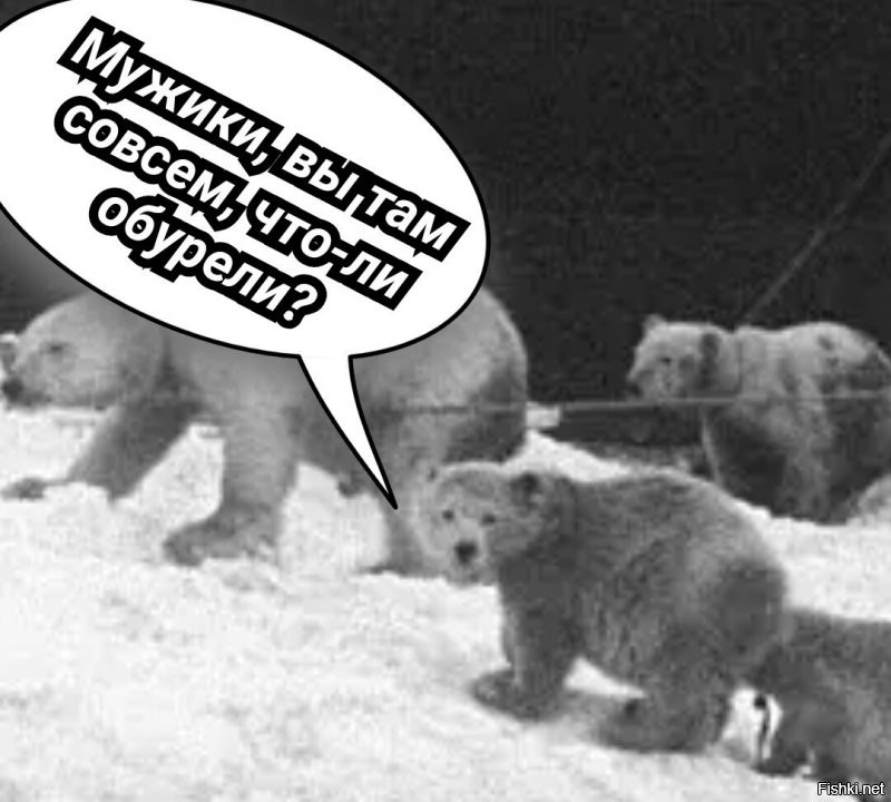 Как участники экспедиций по Арктике пытались запрягать белых медведей в собачью упряжку