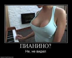 Вот это "весёлые пупырышки".