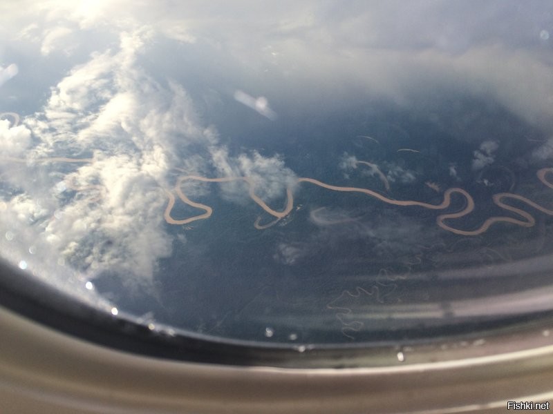 Вот я снял Амазонку при перелете Амстердам - Лима