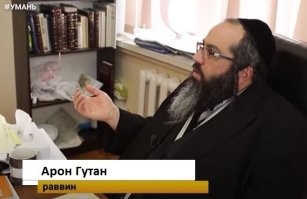 10 интересных фактов об интеллекте лесных обезьян