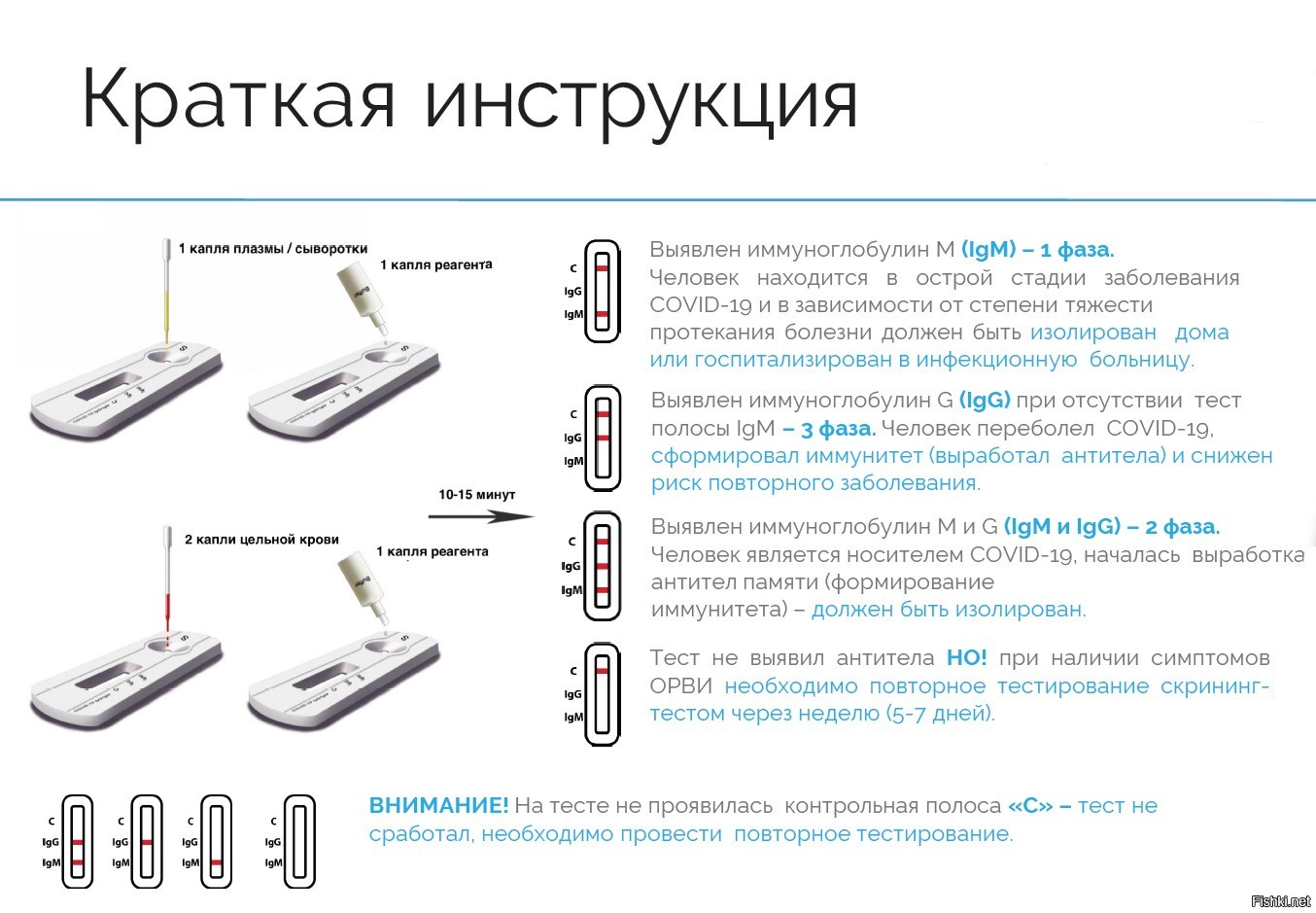 Результаты экспресс теста на ковид