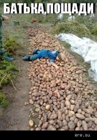 Смешные и познавательные картинки