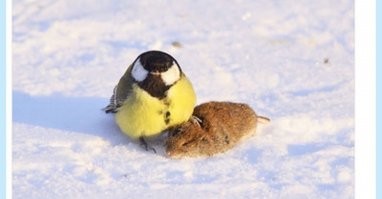 Пост неполон без этого: