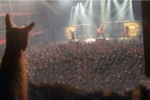 на концерте так.