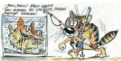 Аквариумная рыбка атаковала провоцирующего её кота