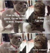 Смешные и познавательные картинки