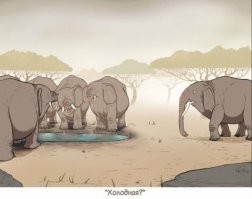 Смешные картинки из соц сетей