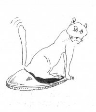 Избалованные кошки