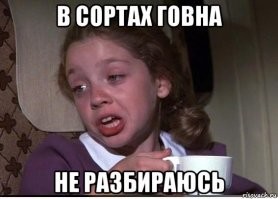 10 фактов про цыган, которых вам лучше не знать